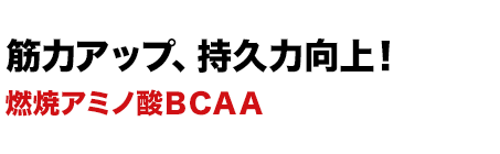 筋力アップ、持久力向上！燃焼アミノ酸ＢＣＡＡ