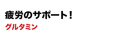 疲労のサポート！グルタミン