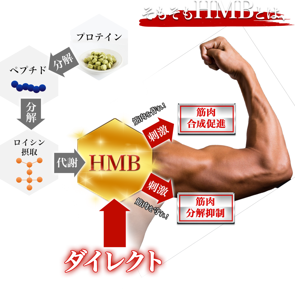 そもそもHMBとは？